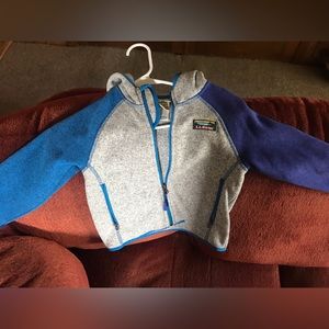 LL Bean Hooded Sweater Fleece: Blue/Gray